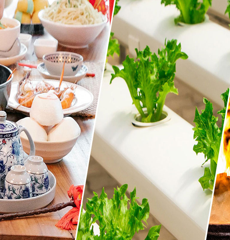 全产业链采购专家
高投入研发丰富的菜品类型