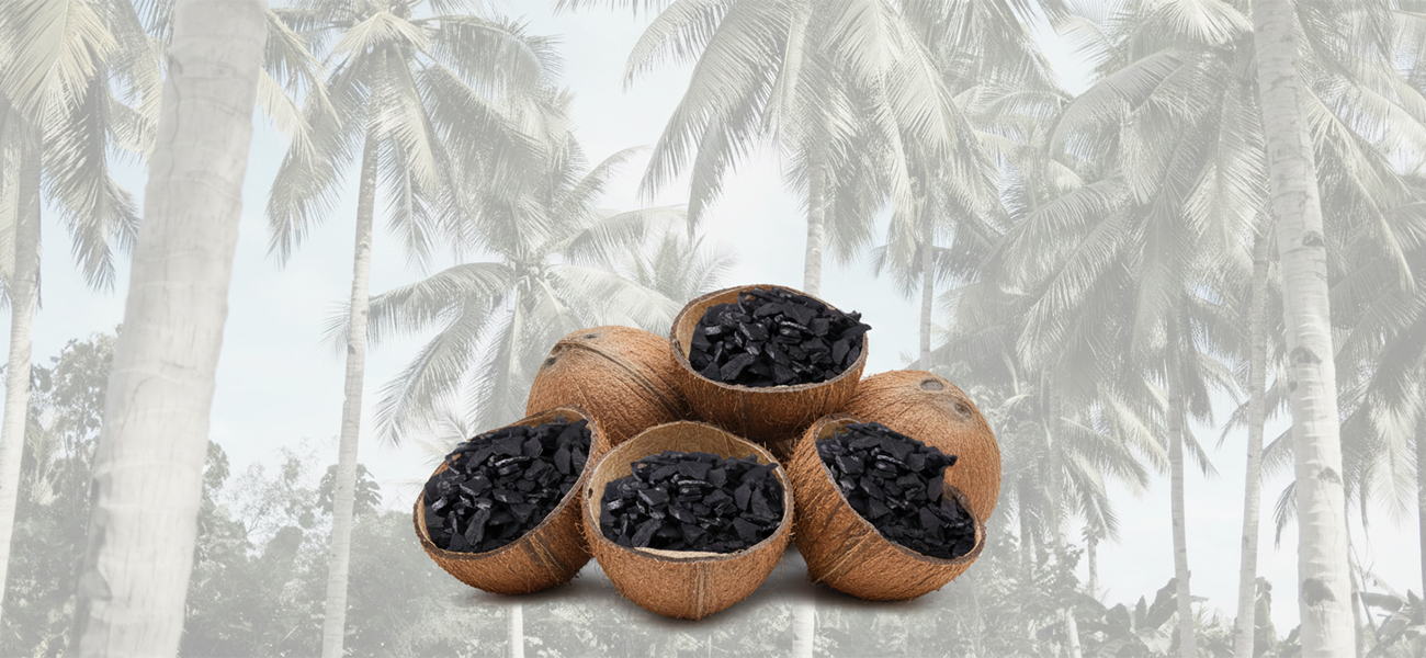 Carb&oacute;n activado de c&aacute;scara de coco